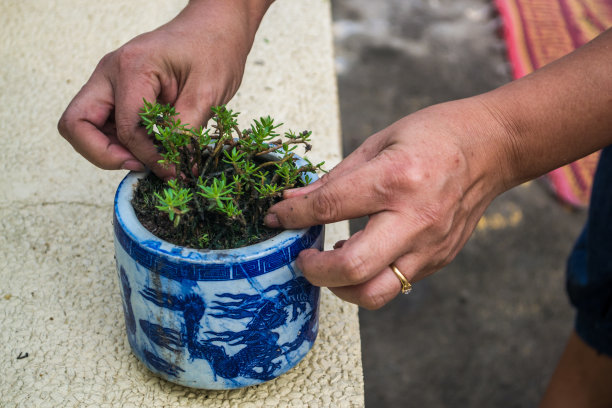绿色让生活更美好图片下载
