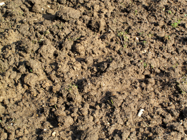 潮湿的土壤背景图片下载