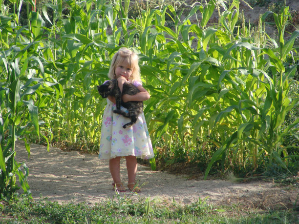 女孩抱着猫图片下载