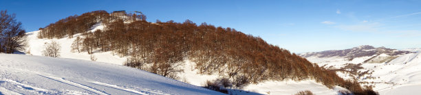 冬季景观与雪和针叶树图片下载