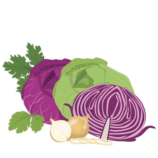 卷心菜、洋葱图片下载