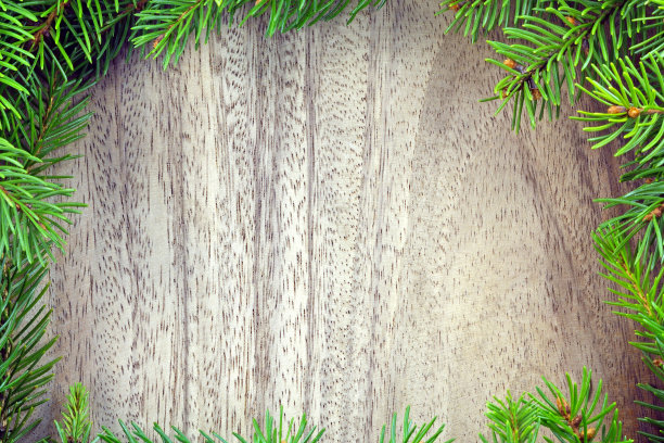 新年和圣诞相框图片下载