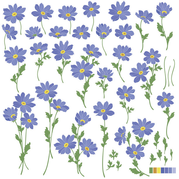 花说明对象图片下载