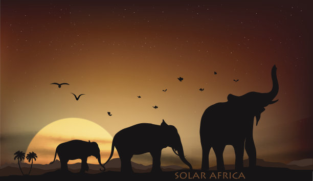 草原上的日出和日落有三只大象素材图片