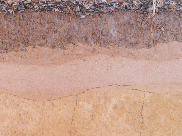 一层用于文本和背景的土壤图片下载