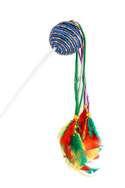 羽毛杆猫玩具图片下载