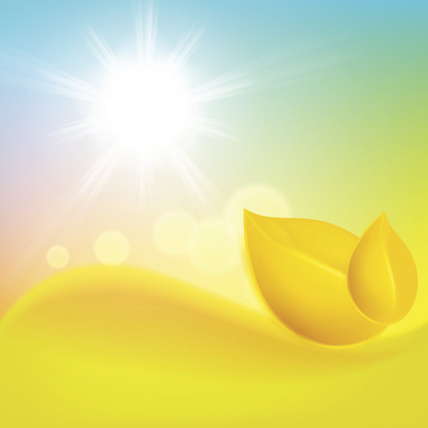 秋天的背景是黄叶和太阳图片下载