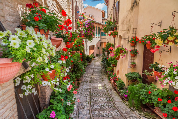 阳光明媚的意大利翁布里亚小镇的街道图片下载