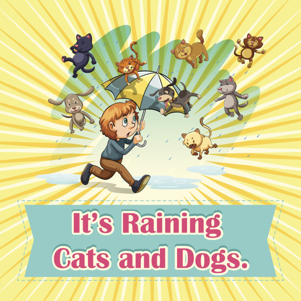 下猫和狗图片下载