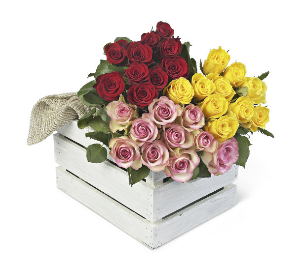 一束多色的玫瑰图片下载