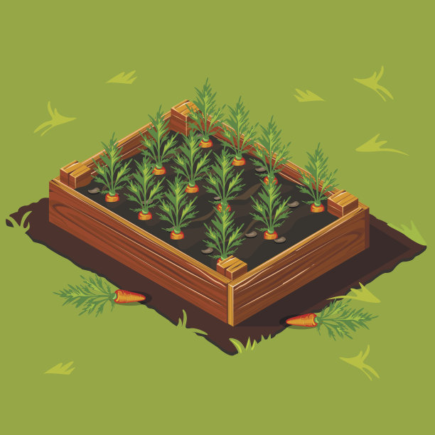 蔬菜花园盒与胡萝卜。组1图片下载