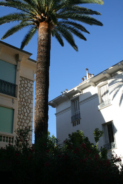 法国尼斯的细节图片下载