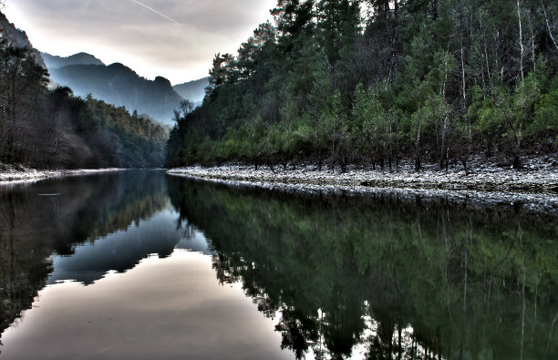 土耳其年代ı杯子森林图片下载