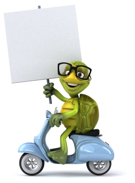 有趣的海龟图片下载