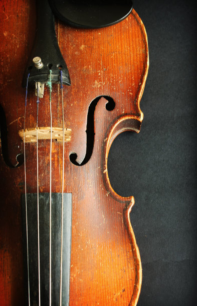 漂亮的小提琴图片下载
