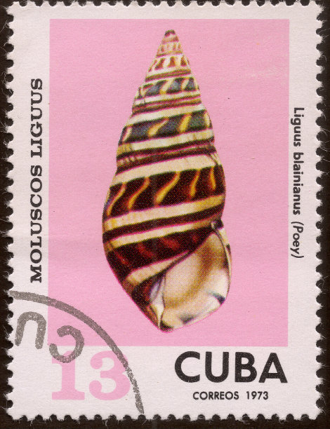 大海碗图片下载