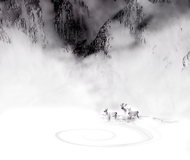 马鹿在Beinn eight下面。图片下载