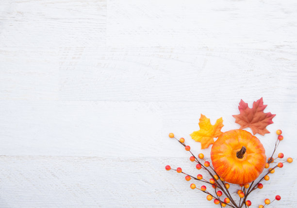 感恩节背景上色图片下载