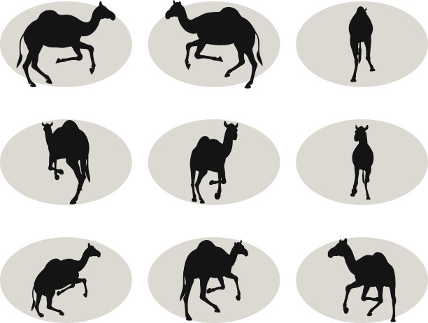 骆驼跑式图片下载