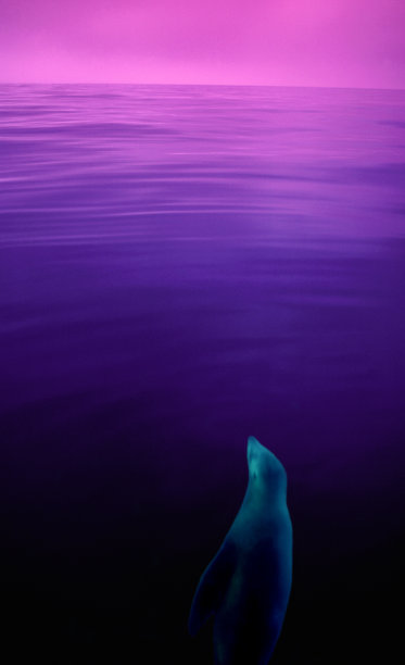 下面的情况图片下载