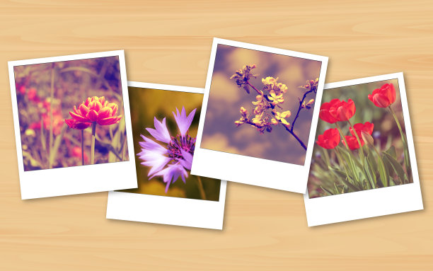 复古鲜花即时照片图片下载