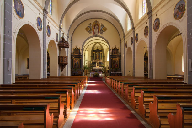 圣童军团图片下载