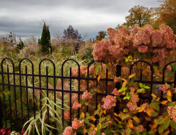 黑铁门通向花园图片下载