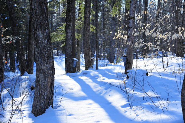 的途径图片下载