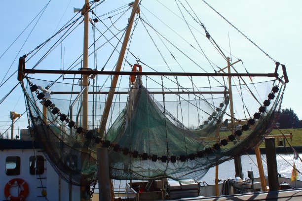 停泊在港口的船只的低角度视图图片下载