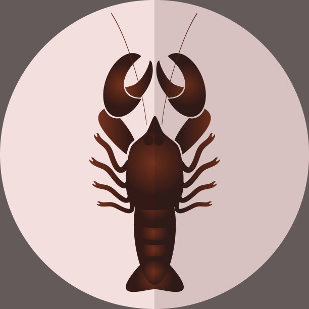 午餐吃一只美味的大龙虾图片下载