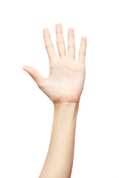 女人的手做五个标志孤立在白色的背景图片下载