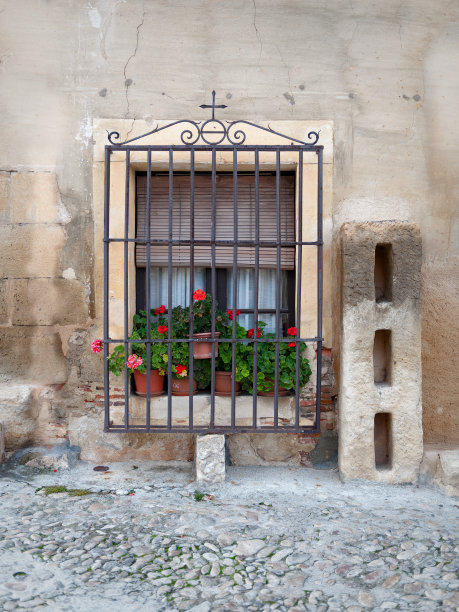 主要外观图片下载