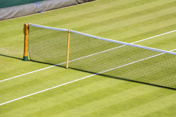 草地网球场图片下载