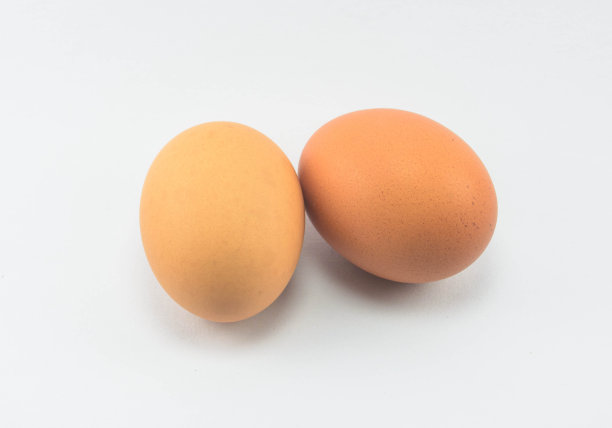 白色背景下的鸡蛋图片下载