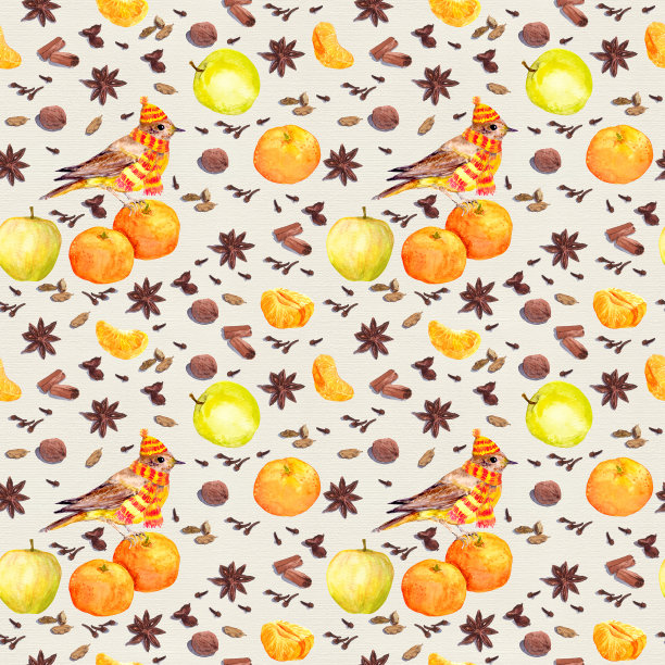 水彩冬季香料和水果-苹果，柑橘与鸟图片下载