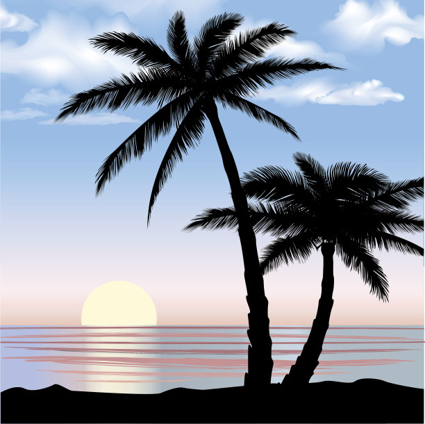 日出在海滩上的棕榈树剪影。图片下载