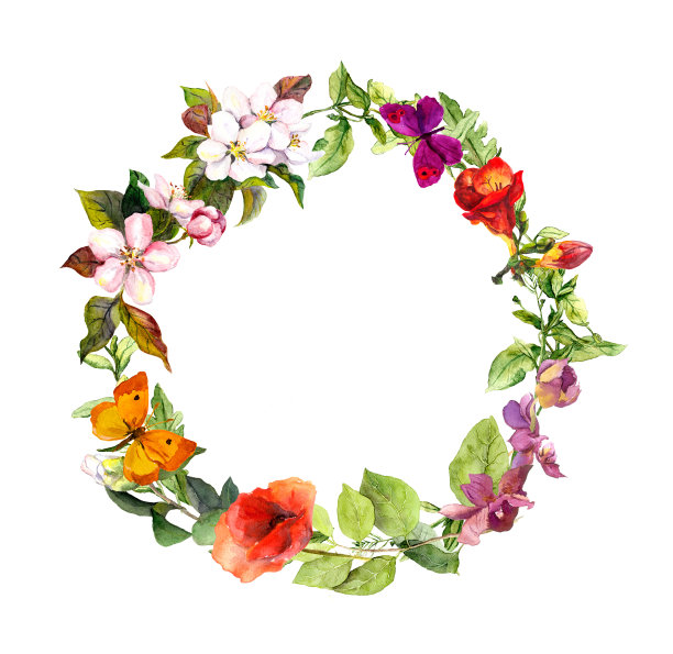 为你的文字留出空白的花圈。夏花图片下载