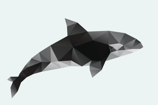 虎鲸图片图片下载