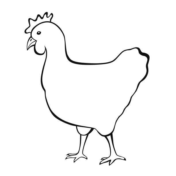 鸡黑白孤立的插图矢量图片下载