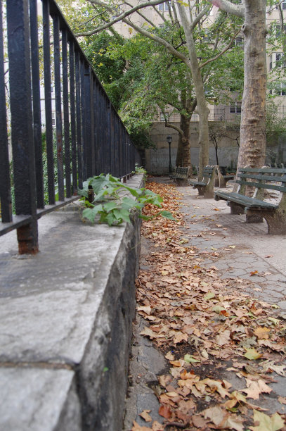 铁栅栏和公园长椅图片下载