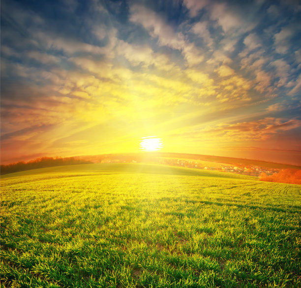 绿油油的草地图片下载