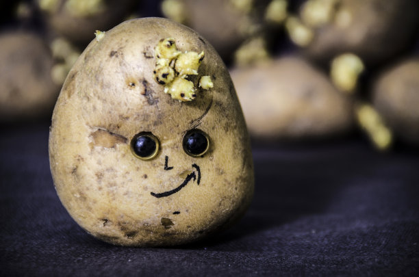 土豆上的笑脸图片下载