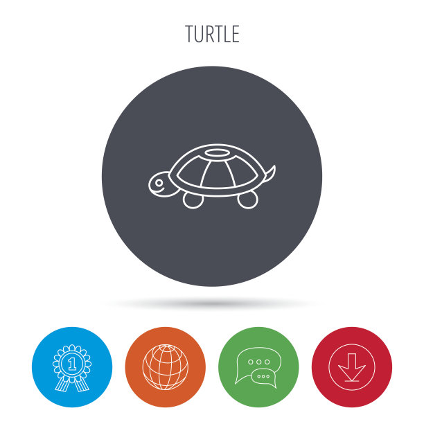 乌龟图标。乌龟的迹象。图片下载