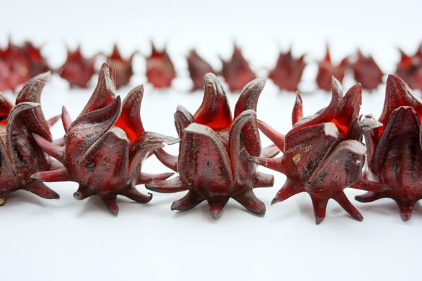 蔷薇花组001图片下载