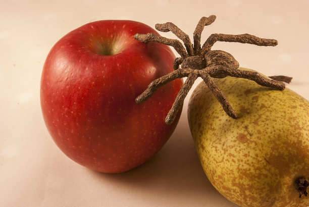 苹果的蜘蛛图片下载