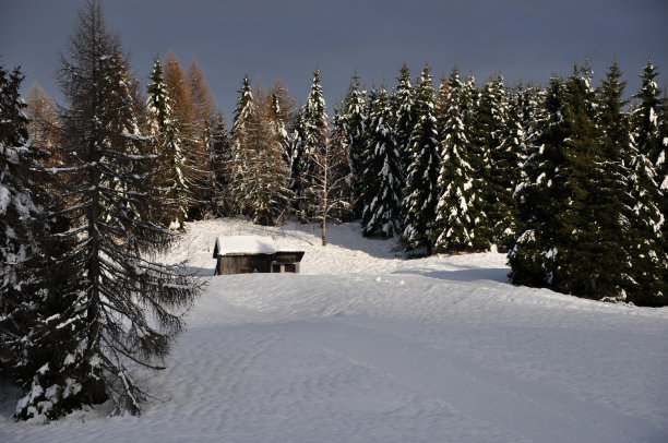 冬天的故事图片下载