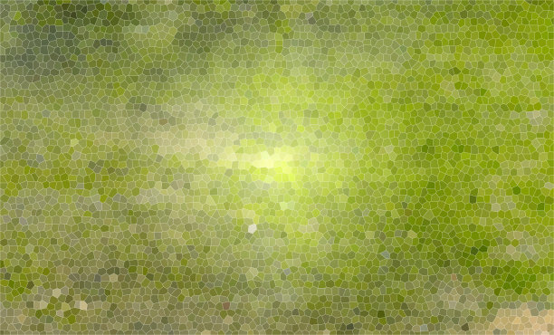 绿色的苔藓图片下载