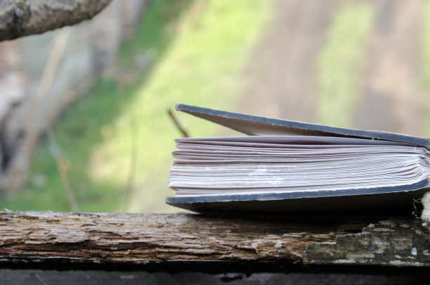 相册或旧板上的文件图片下载