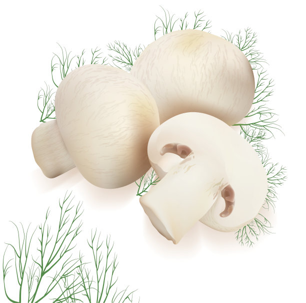 你的设计蘑菇图片下载