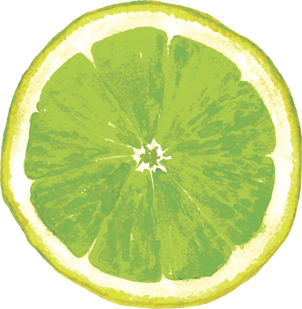 用水彩画的石灰片图片下载